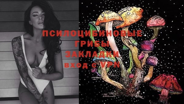 гидра Лихославль