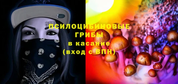 гидра Лихославль